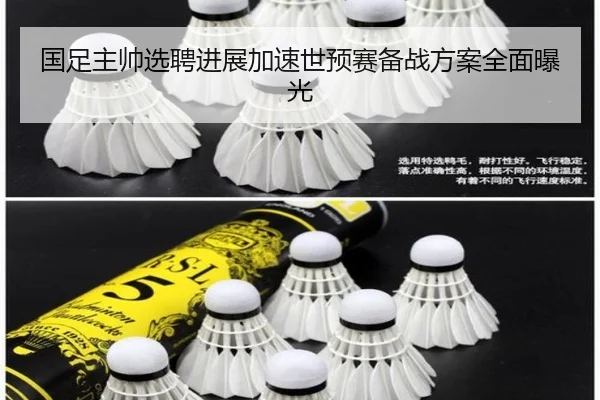 国足主帅选聘进展加速世预赛备战方案全面曝光