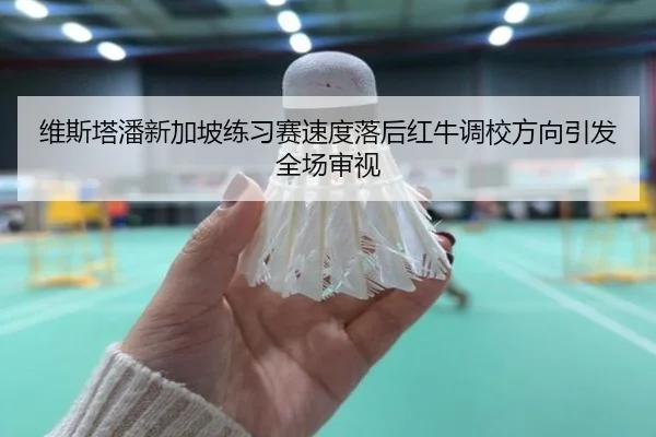 维斯塔潘新加坡练习赛速度落后红牛调校方向引发全场审视